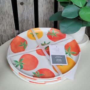The FARMHOUSE by Rachel Ashwell TOMATO print Melamine Salad Plates